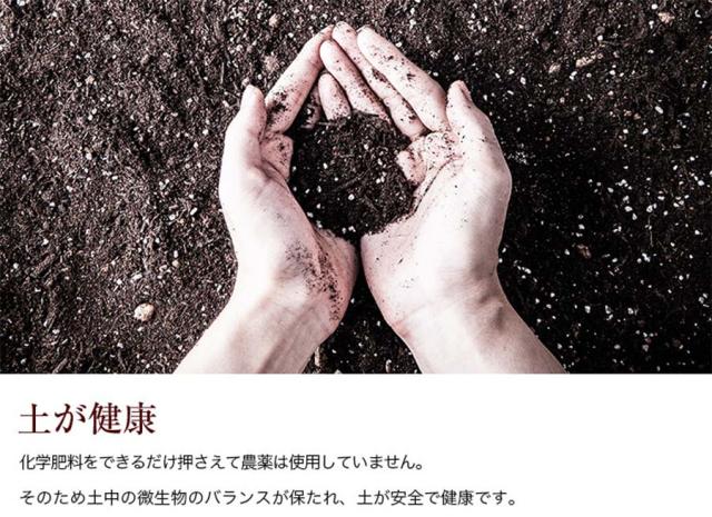 十勝スロウフード 牛とろフレーク 1セット