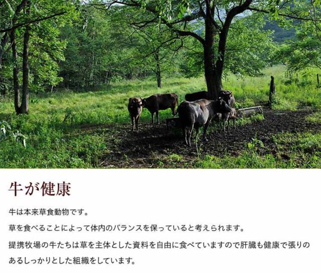 十勝スロウフード 牛とろフレーク 1セット