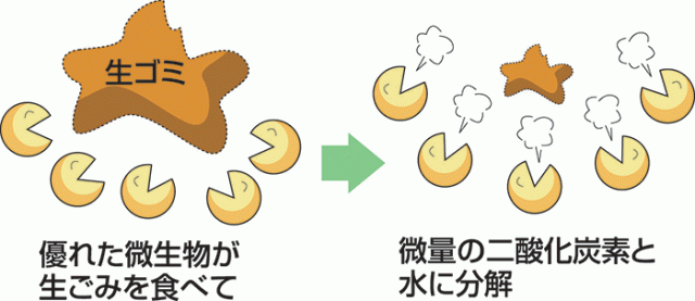 エコクリーン 自然にカエルS 基本セット 870315