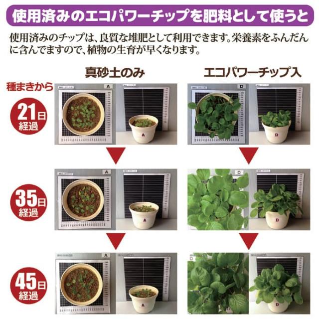 エコクリーン 自然にカエルS 基本セット 870315