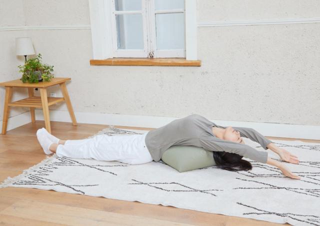 龍野コルク工業 キュービーズ 座布レッチ 1個