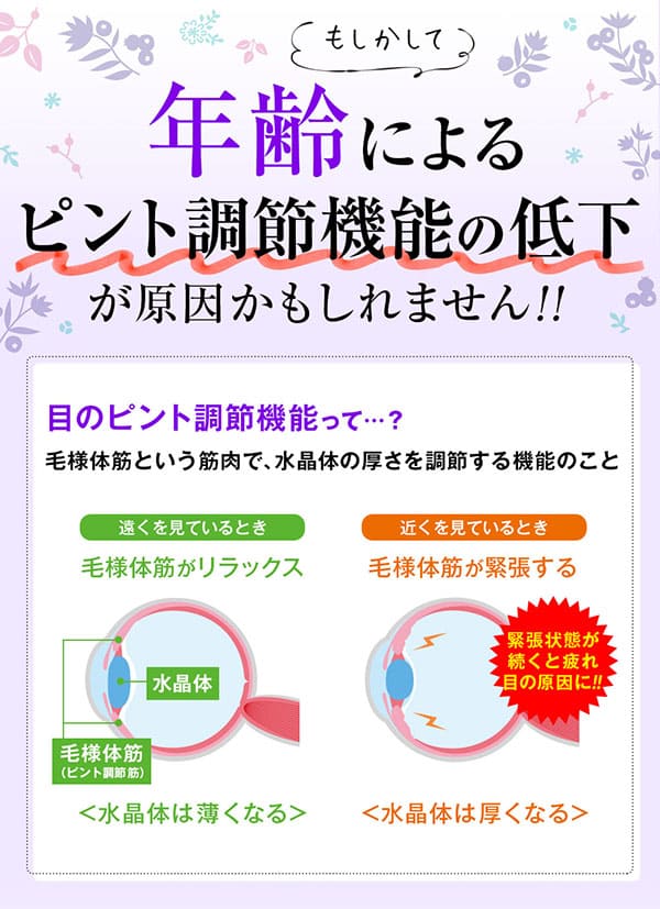 リフレ ブルーベリー＆ルテインα 3400