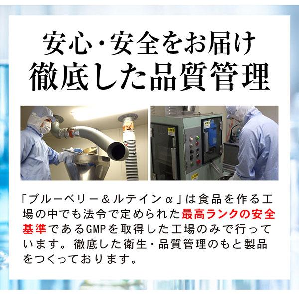リフレ ブルーベリー＆ルテインα 3400