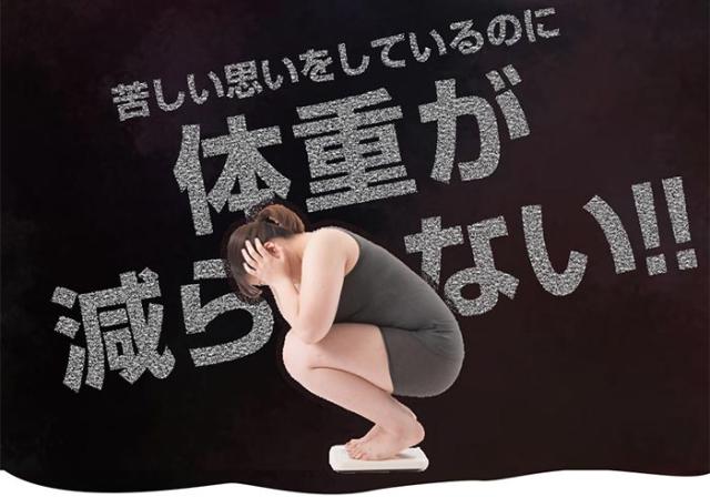 リフレ ダイエットのみかた