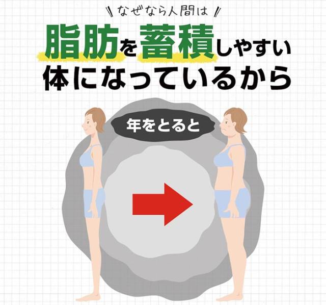 リフレ ダイエットのみかた