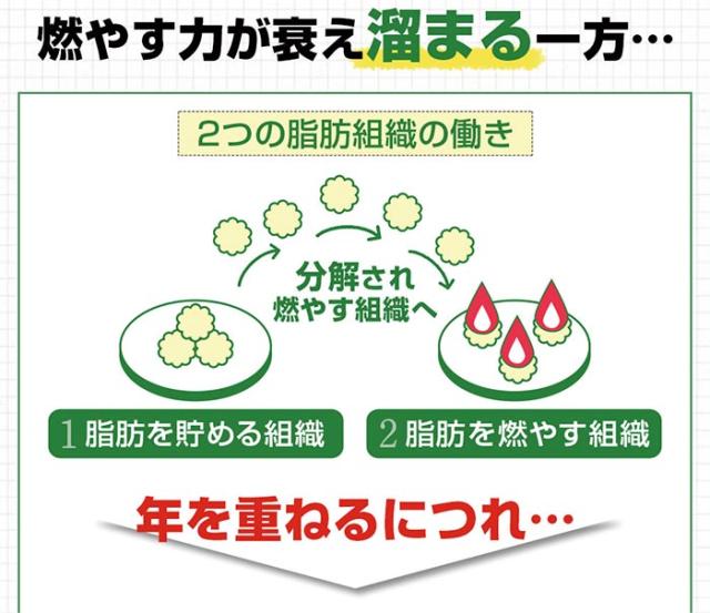 リフレ ダイエットのみかた