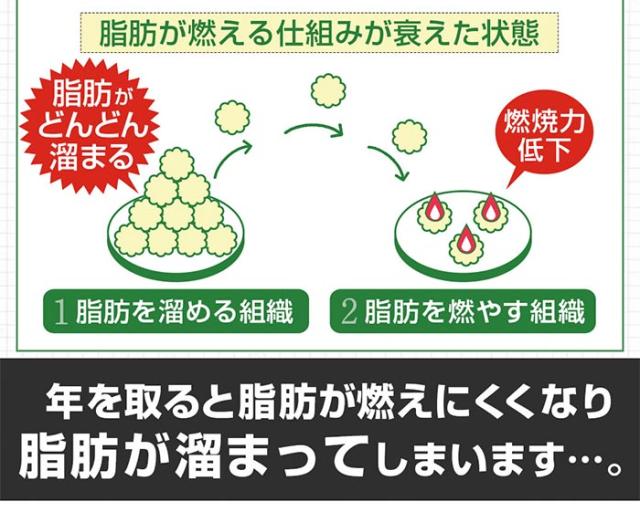 リフレ ダイエットのみかた