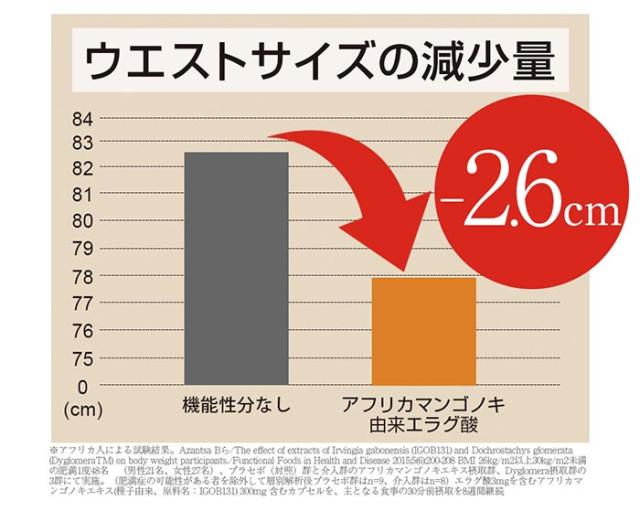 リフレ ダイエットのみかた