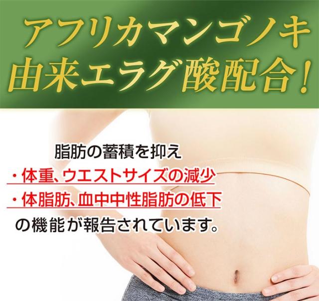 リフレ ダイエットのみかた