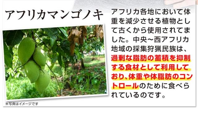 リフレ ダイエットのみかた