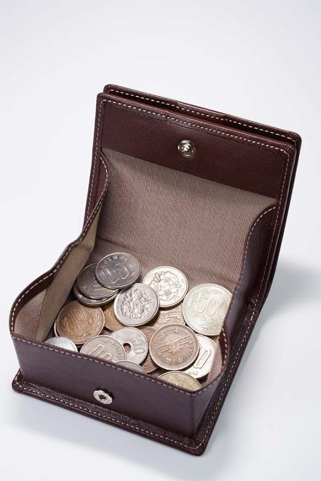 彩香 ハンドワーク 使えばわかる小さな財布 MHW-006 1個