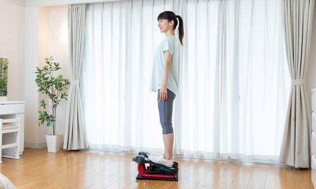 モダンロイヤル エアロライフ ストレッチステッパー