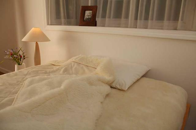 タクトコーポレーション メリノン 羊敷き毛布 シングル