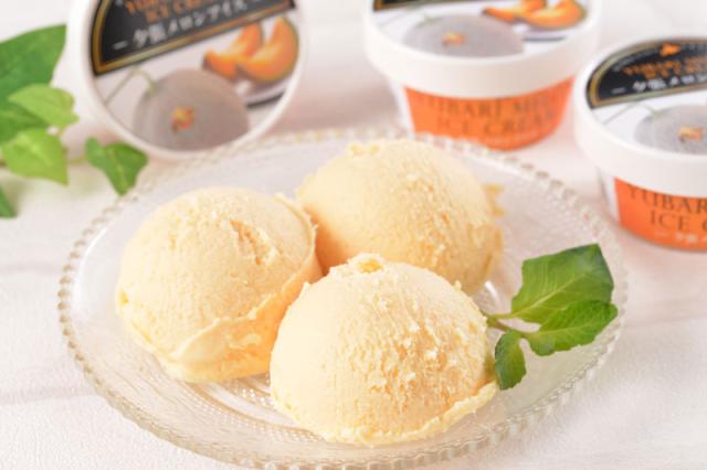 鹿内青果 北海道 夕張メロンアイス 13個入 1セット:13個入