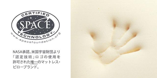 テンピュール(R) ロングハグピロー 1100A2