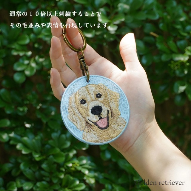 dog-9_4.jpg