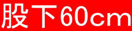 股下60cm