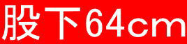 股下64cm