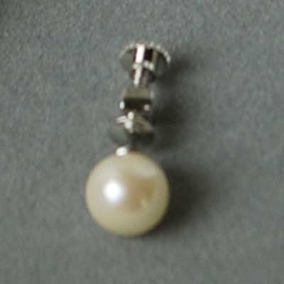 クリックすると拡大します