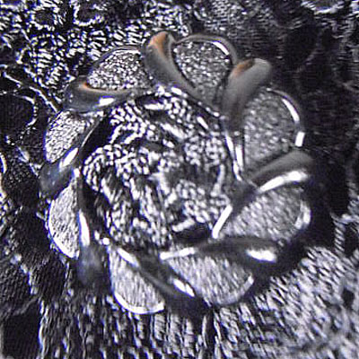 ワンピースボタン