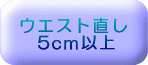 ウエスト直し(5cm以上)