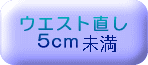 ウエスト直し(5cm以下)