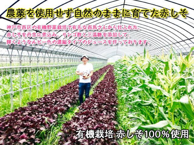 赤紫蘇ジュース