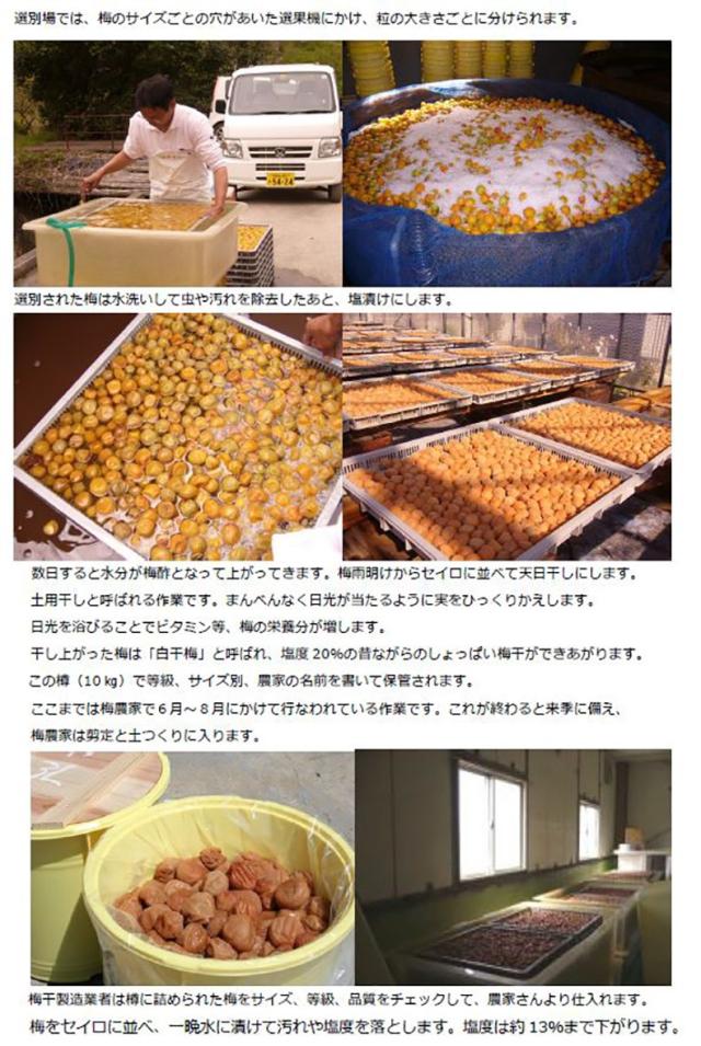 梅 はちみつ 紀州南高梅 和歌山県産
