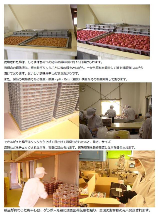 梅 はちみつ 紀州南高梅 和歌山県産