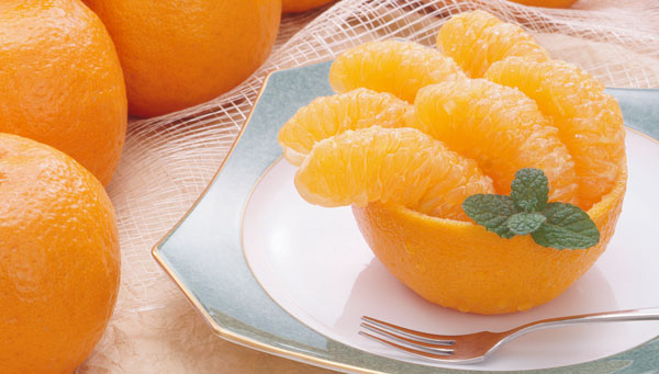 ギフト・お中元