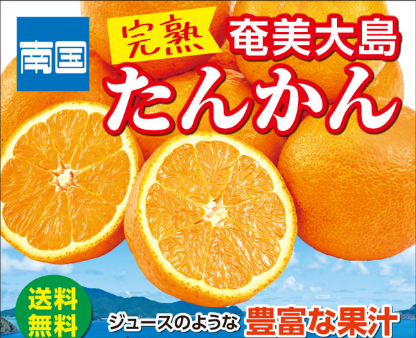 ギフト・お中元