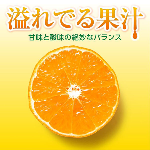 ギフト・お中元