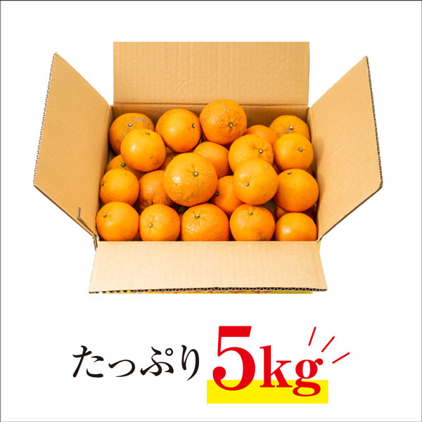 ギフト・お中元