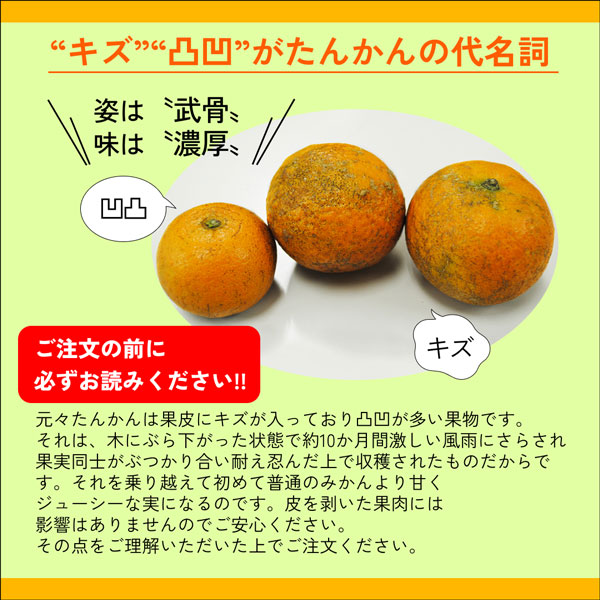 ギフト・お中元