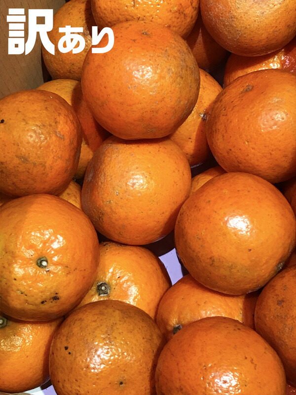 ギフト・お中元