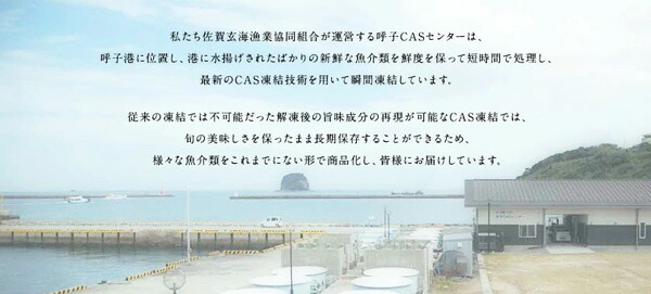 ・ギフト・お中元でもOK