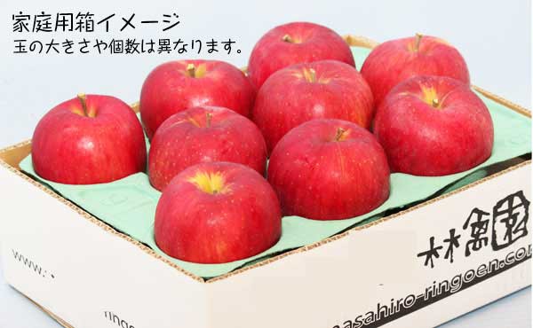 家庭用　10kg【青森県産】　マーケット店　マーケット－通販サイト　予約品：11月下旬〜出荷開始【出荷日お任せ・指定日不可】の通販はau　PAY　kamittellギフト広場　PAY　マーケット　au　蜜入りりんご　au　葉とらずサンふじ　PAY