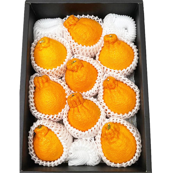 ・ギフト・お中元でもOK