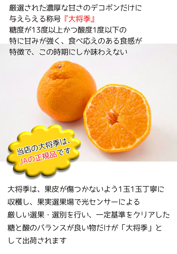 ・ギフト・お中元でもOK