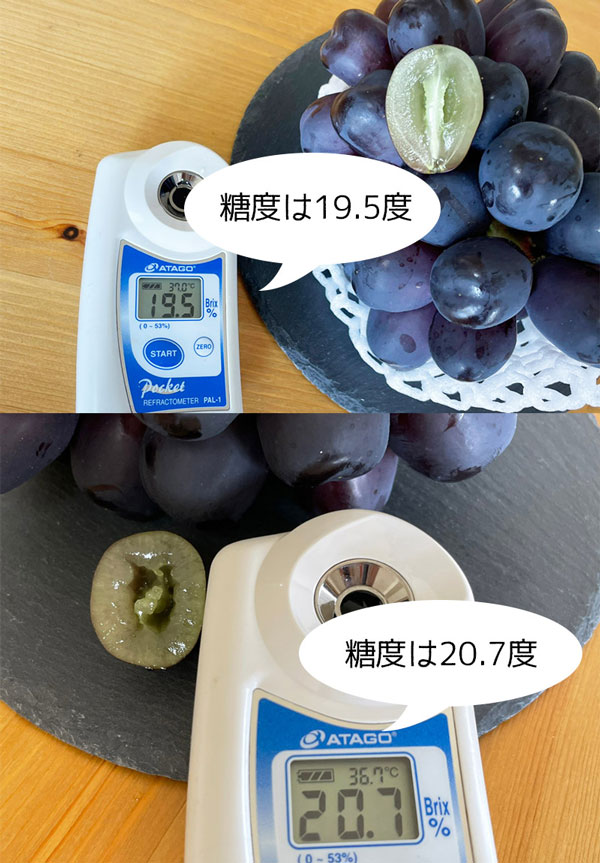 ・ギフト・お中元でもOK