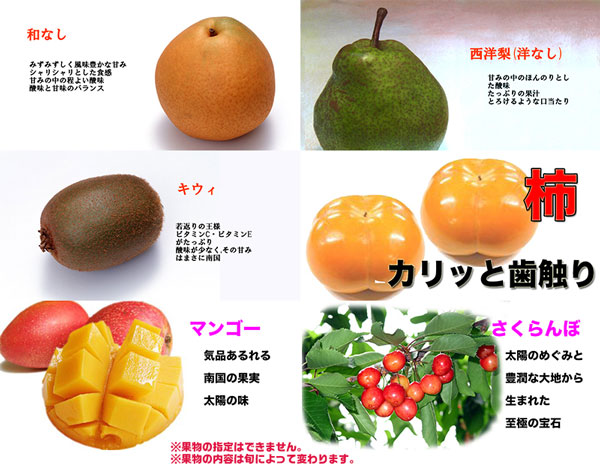 ギフト・お中元でもOK