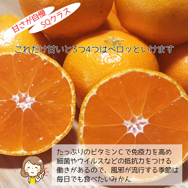 ・ギフト・お中元でもOK