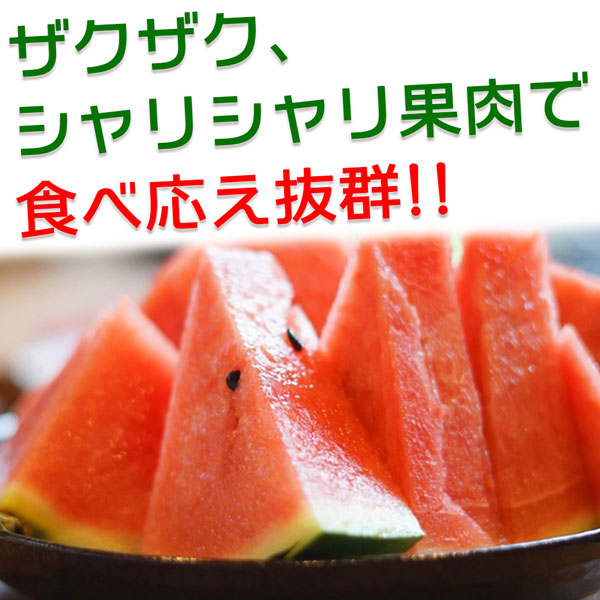 ・ギフト・お中元でもOK
