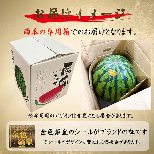 スイカ 熊本県産