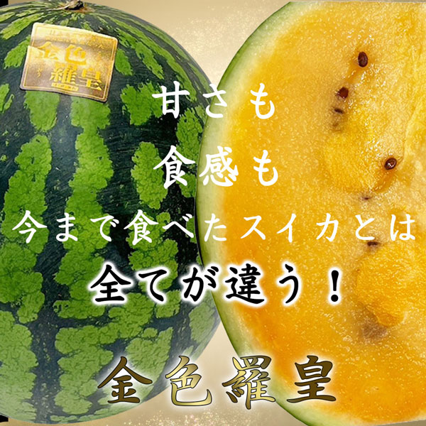 スイカ 熊本県産