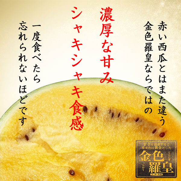 スイカ 熊本県産