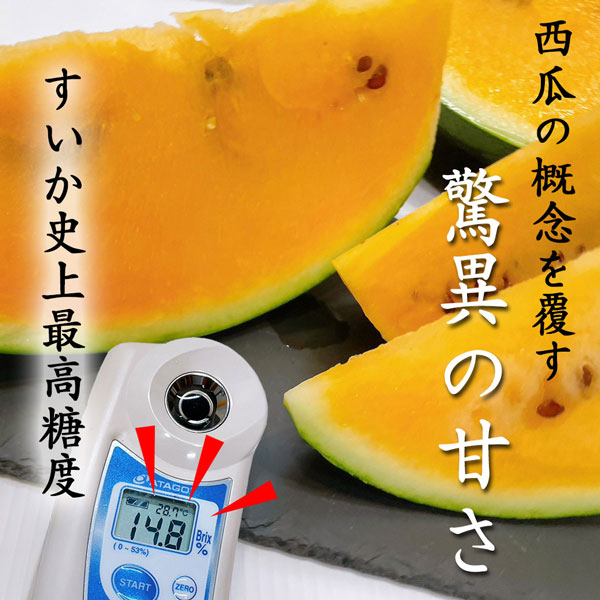 スイカ 熊本県産