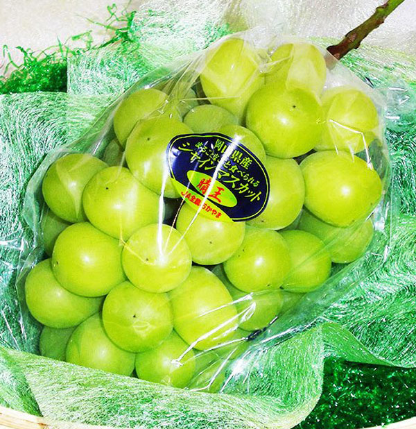 スイートコーン 3kg(1箱) 5〜8本入り【兵庫県産】・ギフト・お中元でもOK