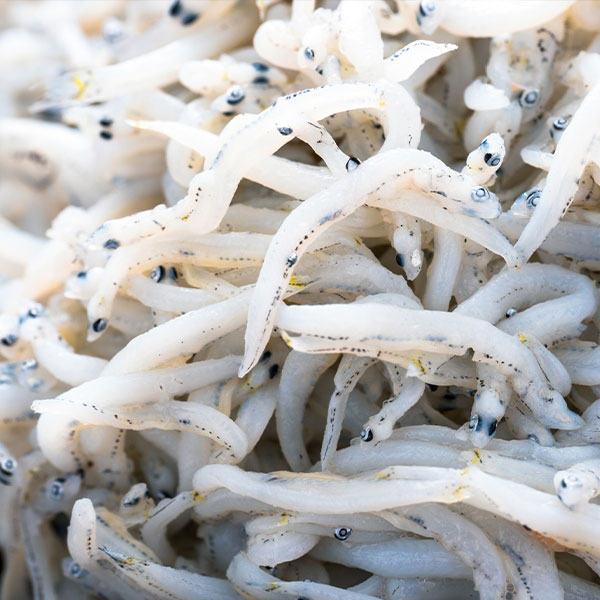 ・ギフト・お中元でもOK