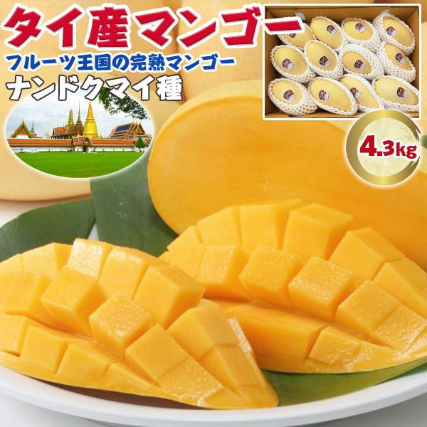 年末のプロモーション マンゴー1玉 - タイ産マンゴー 果物 食品